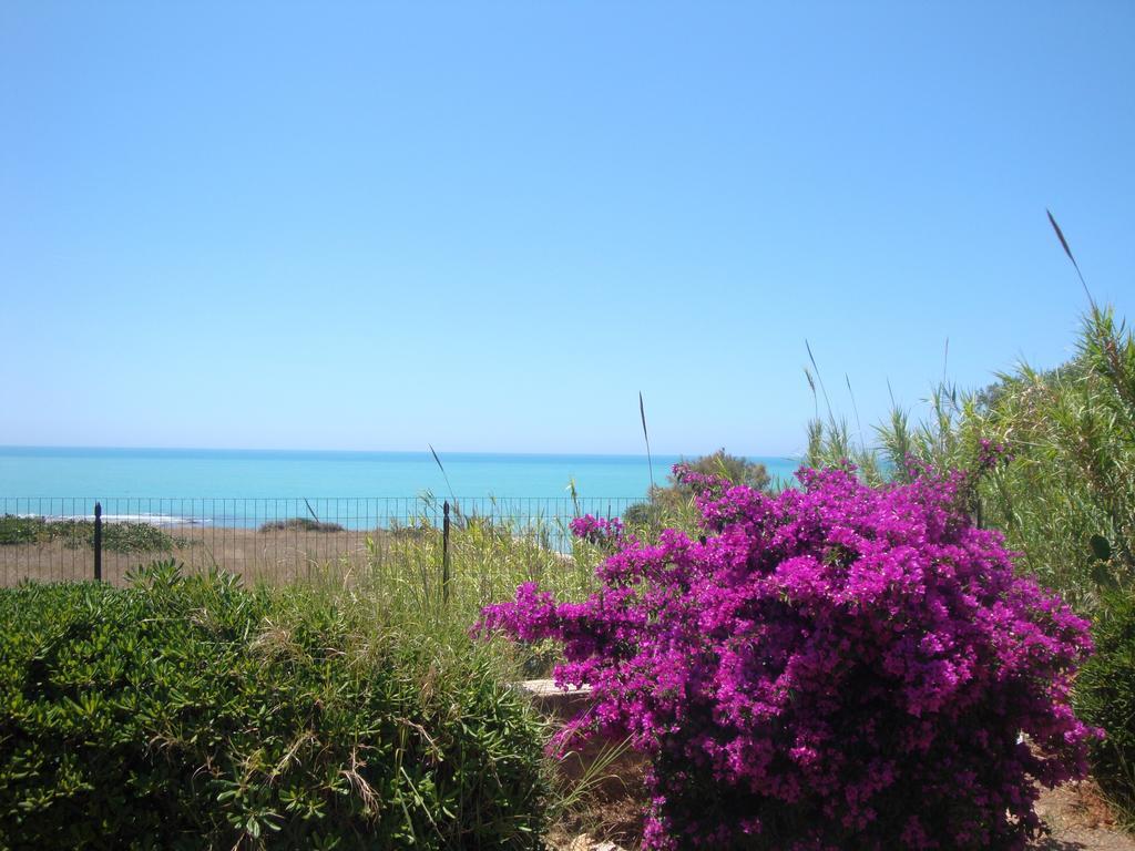 Cala Vigliena Il Sole Negli Occhi Villa Punta Braccetto Room photo
